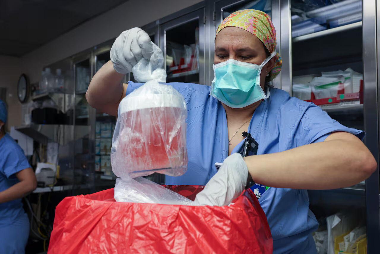 US surgeons transplant a gene-edited pig kidney into a patient for the first time